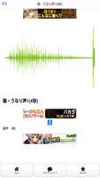 犬と猫の音声　DOG ＆ CAT SOUNDS imagem de tela 1