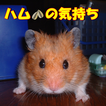 ハムスターの気持ち クイズ　かわいいペットの生態と飼育方法　