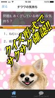 犬の気持ち　チワワ編　 ペットの愛犬を理解　飼育としつけと健康雑学豆知識クイズ　無料アプリ ảnh chụp màn hình 1