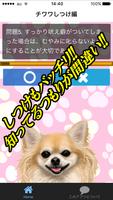 犬の気持ち　チワワ編　 ペットの愛犬を理解　飼育としつけと健康雑学豆知識クイズ　無料アプリ ảnh chụp màn hình 2