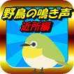 野鳥鳴き声 鳥の雑学クイズ　バードウォッチング　アウトドアのおとも　自然観察