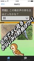 野鳥鳴き声 鳥の雑学クイズ　バードウォッチング　アウトドアのおとも　自然観察 ảnh chụp màn hình 1
