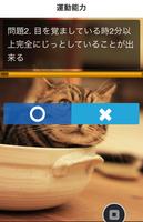 猫 知能診断 IQテスト ペットのケア screenshot 1