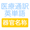医療通訳の試験対策にも　医療通訳英単語　器官名称編クイズ
