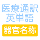 医療通訳の試験対策にも　医療通訳英単語　器官名称編クイズ APK