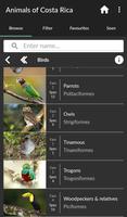 Animals of Costa Rica 截图 2