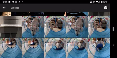 Camera Color Grab screenshot 3