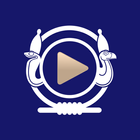Kamitic Stream أيقونة