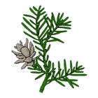 Hemlock icône