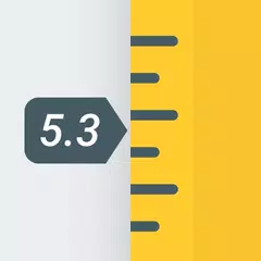 Lineal (Ruler App) XAPK Herunterladen