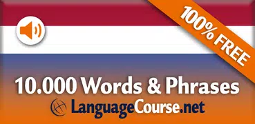 Learn Dutch Vocabulary Free