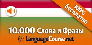 Выучите лексику: Венгерский