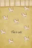 Katzen Evolutions Party Plakat