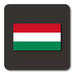 download Lightning Launcher - Magyar APK