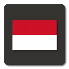 Lightning Launcher - Indonesia
