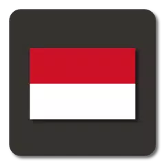 Lightning Launcher - Indonesia APK Herunterladen
