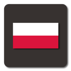 Lightning Launcher - Polski icône