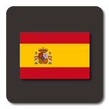 Lightning Launcher - Español icône