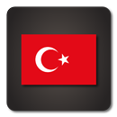 Lightning Launcher - Turkish APK