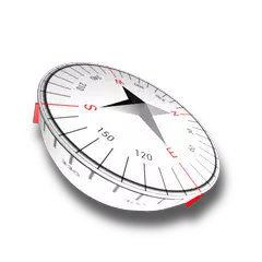 Marine Compass - White