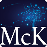 Berlin 2018 McKinsey icon