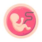 Pregnancy Symptoms icône