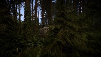 Sons Of The Forest 3D Mobile screenshot 2