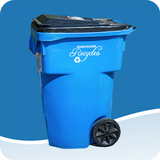 RecycleRight ikona