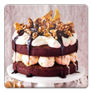 Chocolate Cake Recipes APK