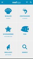 Reef App - Encyclopedia Affiche