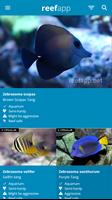 Reef App - Encyclopedia captura de pantalla 2