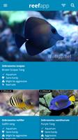 Reef App - Encyclopedia capture d'écran 2