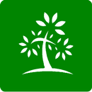 Guia Ribeirão Verde APK