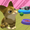 Cat Collect 〜nekoatsume〜-APK