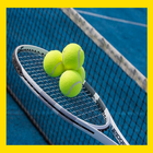 Watch Tennis Live Stream icône