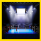 Boxing Live Zeichen