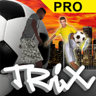 Regates de Fútbol en 3D PRO icono