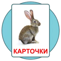 Развивающие карточки Домана APK 下載