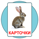 APK Развивающие карточки Домана