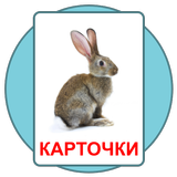 Развивающие карточки Домана icono