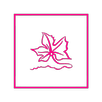 SentieriDelLys APK