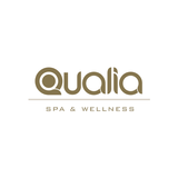Qualia icône