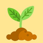 Cuidados para as plantas - Diá ícone