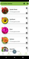 Cuidados para as plantas - Diá Cartaz