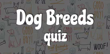 Dog Quiz: Guess the Breed — Ga