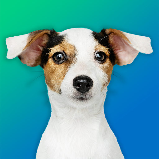 犬のクイズ：品種を推測—ゲーム、写真、テスト