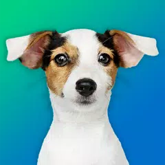 犬のクイズ：品種を推測—ゲーム、写真、テスト アプリダウンロード