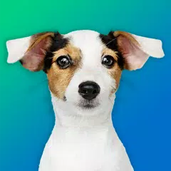 Dog Quiz: Guess the Breed — Ga