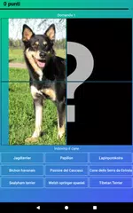 download Razze di Cani: Quiz, Foto Test XAPK