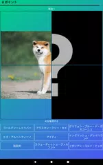 犬のクイズ：品種を推測—ゲーム、写真、テスト アプリダウンロード
